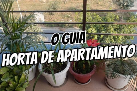 Do Vaso Direto para a Panela Tenha uma Horta de Temperos no Apartamento (Mesmo Sem Sol!)