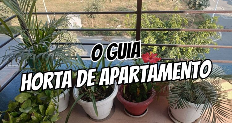 Do Vaso Direto para a Panela Tenha uma Horta de Temperos no Apartamento (Mesmo Sem Sol!)