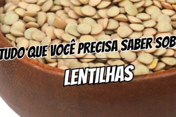 RECEITAS VEGETARIANAS lentilhas
