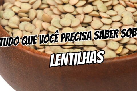 RECEITAS VEGETARIANAS lentilhas